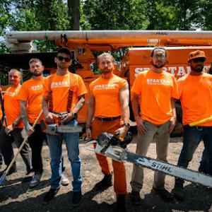 Spartan Tree & Landscape