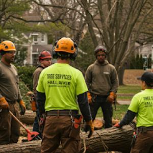 Precision Tree Services Fall River