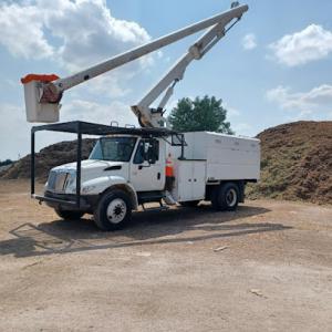 Clean Cut Landscaping & Trees