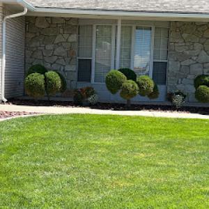 Four Corners Landscape