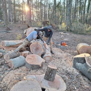 Atlanta's best tree service Morgan Custom Lumber