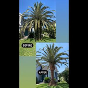 Smith’s Tree & Stump