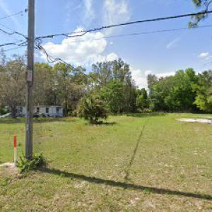 Orange Park Tree Surgeons