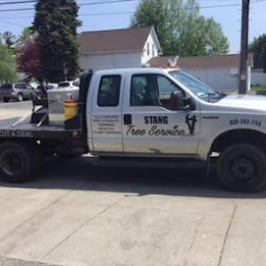 Stang Tree Service