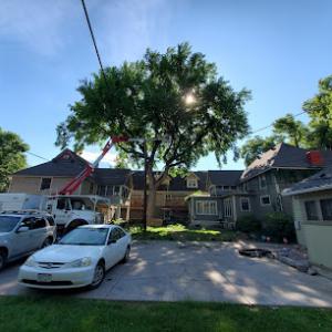 Tanglewood Tree Service