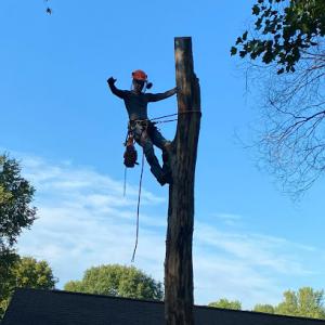 Solutions Concrete & Tree Service