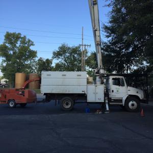 Mullen's Tree Service