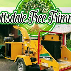 Scottsdale Tree Trimmers
