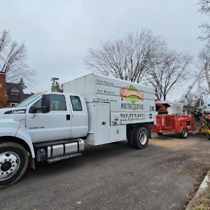 Harrison's Pro Tree Service