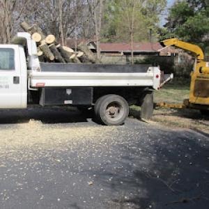 King's Tree Services