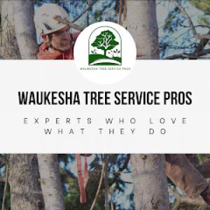 Waukesha Tree Service Pros