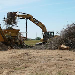 Amberwood Brush Site