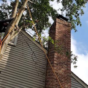 Alvarado Landscaping