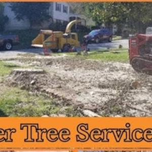 Beaver Tree Service