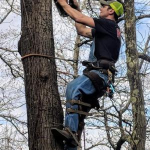 Jeff's Tree Service