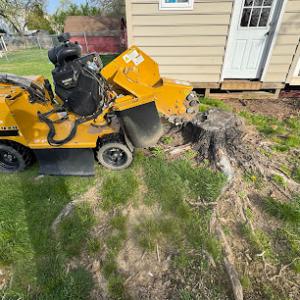 Kennedy Stump Grinding