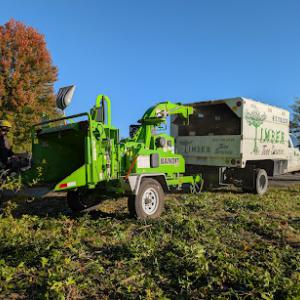Timber Tree Service