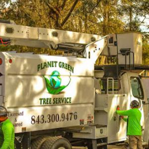 Planet Green Tree Service