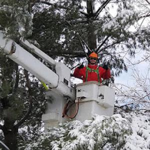 M&A All Seasons Tree Service