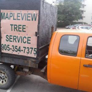 Mapleview Tree Service