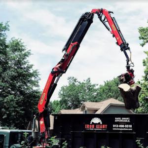 Iron Giant Tree Removal