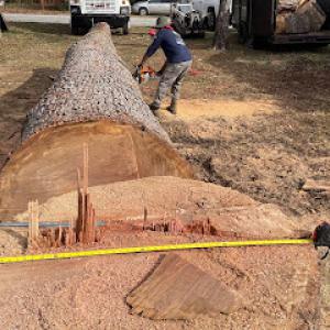 Triple A Tree Service