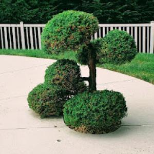 P&S Contracting & Landscape