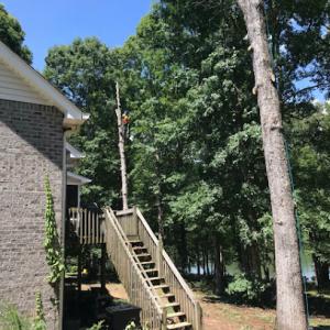 Arbor Care Solutions