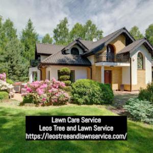 Leos Tree & Lawn Service