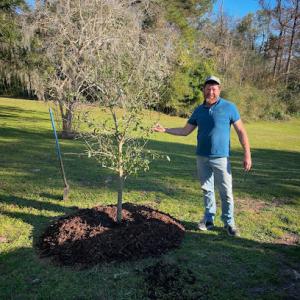 Benton Tree Service