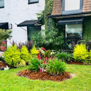 Rouses Tree & Landscaping Services