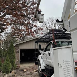 Santiago & Sons Tree Service