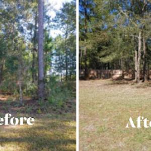 Absolute Brush Cutting & Beautification