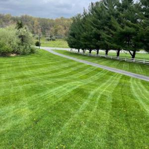 Coppola Landscaping & Services