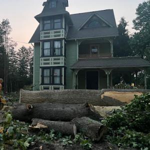 Lumberjack Tree Pros