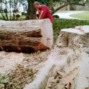 Save A Lott Tree Service