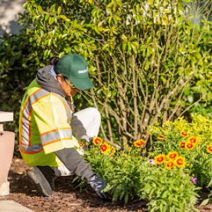 The Davey Tree Expert Company