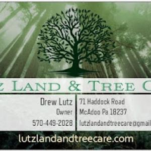 Lutz Land & Tree Care