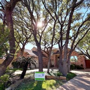 Texas Tree Authority