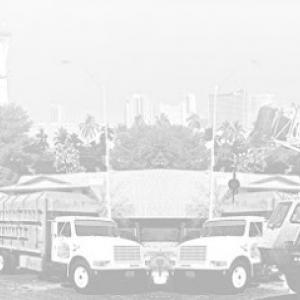 Vegas Best Tree Service – Tree Removal, Trimming & Stump Grinding