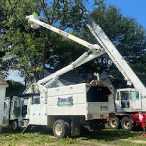Addison Tree Care