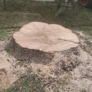 Elevational Heights Tree Care