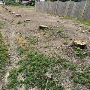 Gordy's Stump Grinding