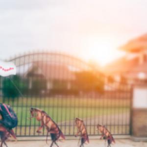 Taylor's Weed & Pest Control