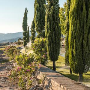 Harrison's Tree Service