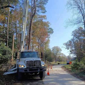 Kingdom Riderz Hauling & Tree Service