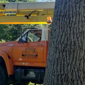 Campbell's Certified Arborist services