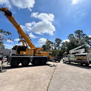 Quality Tree Service