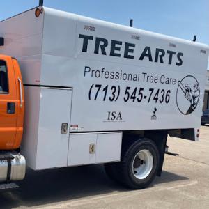 Tree Arts