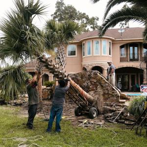 All Trim Lawn Services